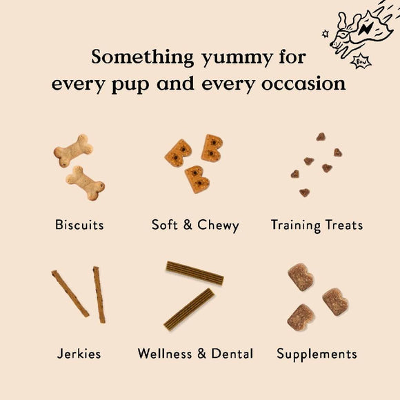 Bocce's Bakery Hip & Joint Supplement for Dogs (60 Soft Chews)