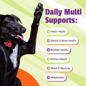 Pet Naturals Daily Multi Chews for Dogs (150 count)