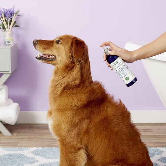 Richard's Organics Incredible Skin Spray For Dogs (12 oz)