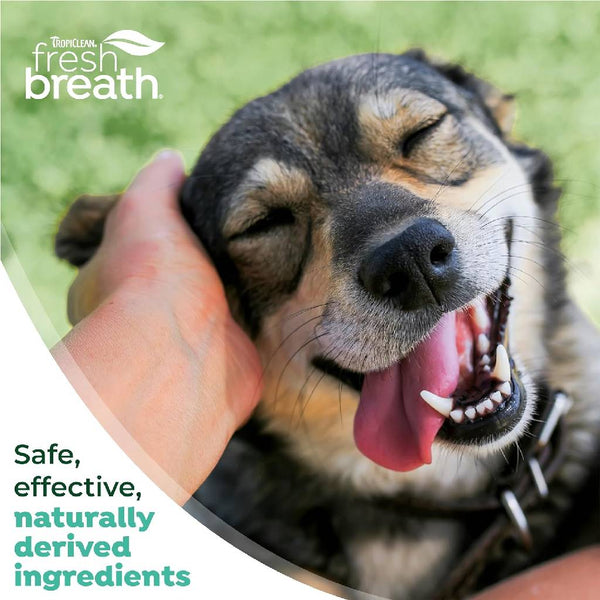 Tropiclean Fresh Breath Oral Care Kit For Dogs (Large)