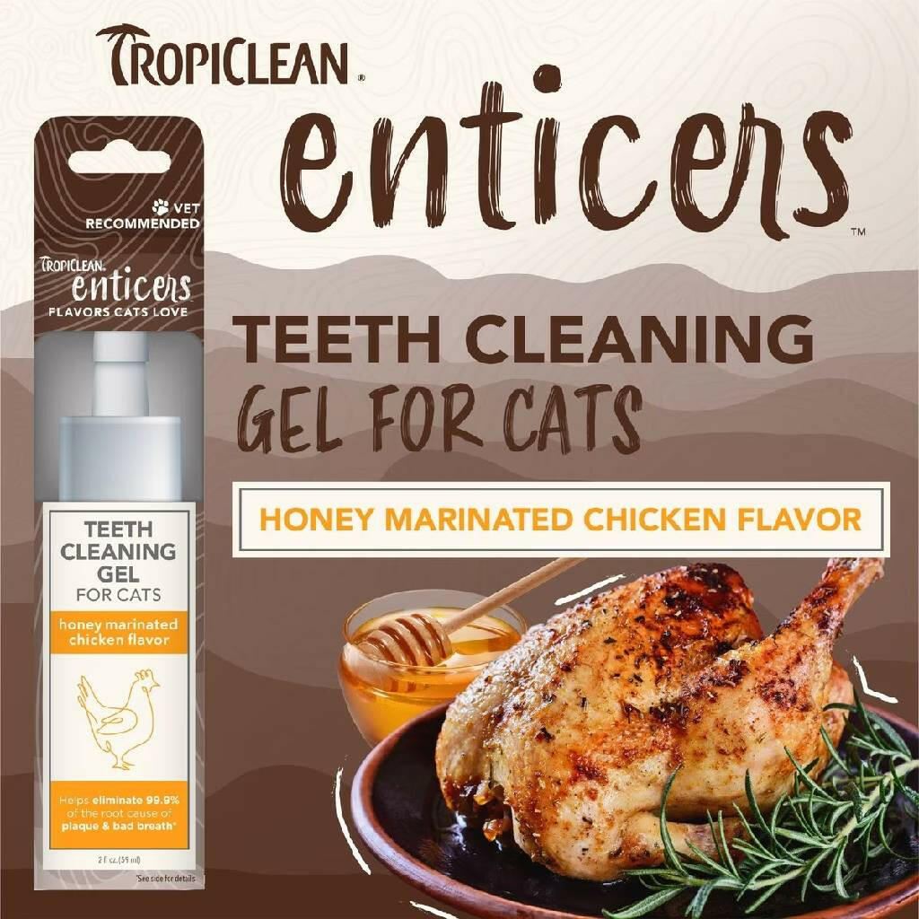 TropiClean Enticers Teeth Cleaning Honey Marinated Chicken Flavor Cat (2oz)