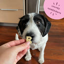 Bocce's Bakery Oven Baked Bone Broth Dog Treats (5 oz)