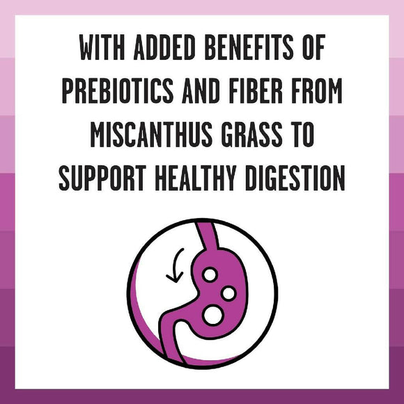 Bixbi Rawbble Digestive Health Chicken Recipe Raw Coated Dry Cat Food (3 lb)