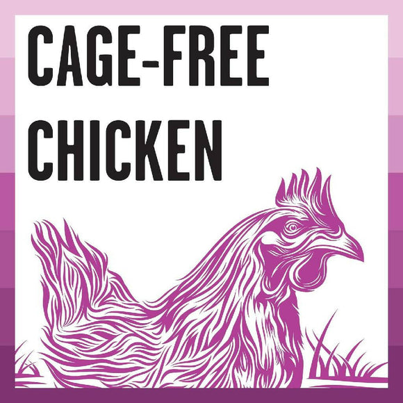 Bixbi Rawbble Digestive Health Chicken Recipe Raw Coated Dry Cat Food (3 lb)