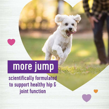 Wellness Move Hip & Joint Support Chicken Flavor Chew Supplement for Dogs (90 soft chews)