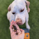 Jiminy's Pumpkin Carrot & Cricket Chewy Training Treats For Dogs (6 oz)