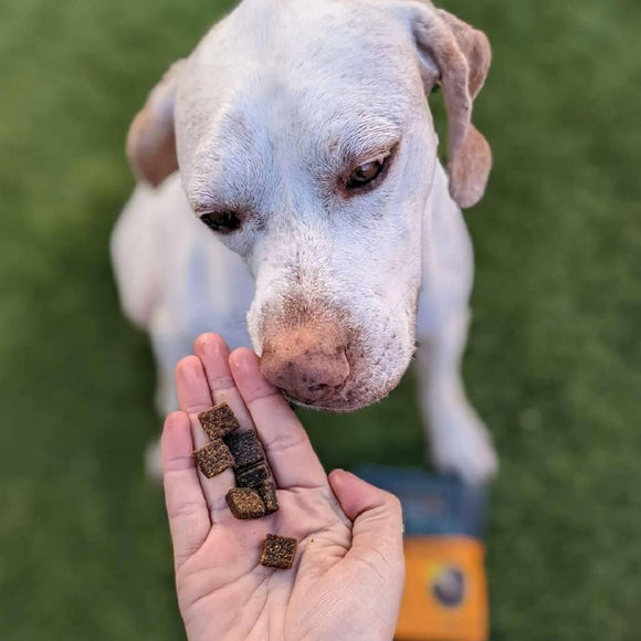 Jiminy's Pumpkin Carrot & Cricket Chewy Training Treats For Dogs (6 oz)