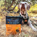 Jiminy's Pumpkin Carrot & Cricket Chewy Training Treats For Dogs (6 oz)