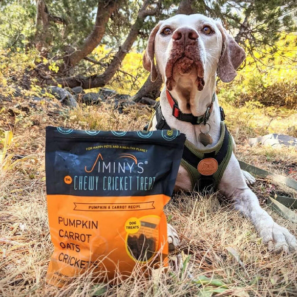Jiminy's Pumpkin Carrot & Cricket Chewy Training Treats For Dogs (6 oz)