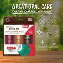 TropiClean Enticers Teeth Cleaning Gel Variety Pack Kong Dental Ball (0.5 oz)