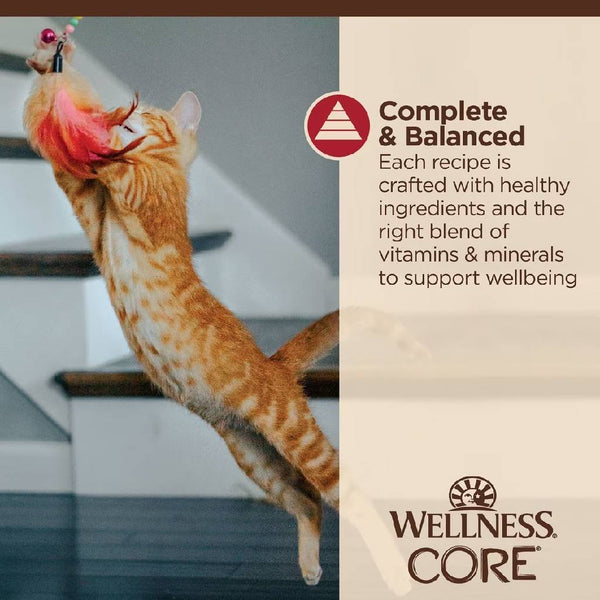 Wellness CORE Tiny Tasters Grain-Free Minced Chicken & Beef Wet Food for Cats (1.75 oz x 12 pouches)