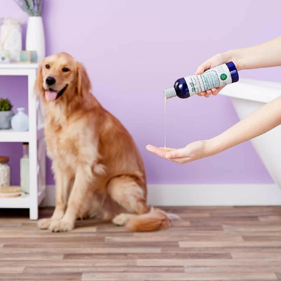 Richard's Organics Moisturizing Shampoo For Pets (12 oz)