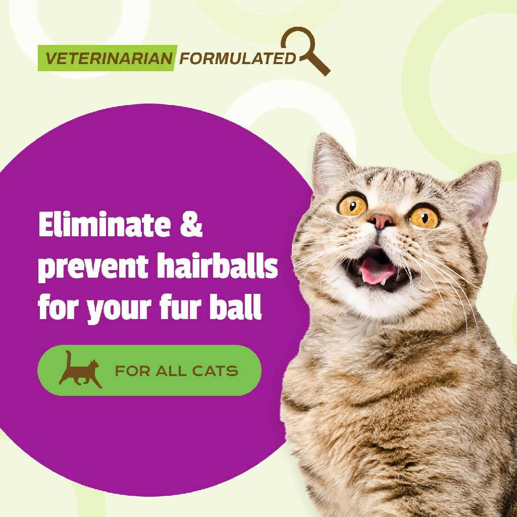 Pet Naturals Hairball Chews for Cats (160 count)