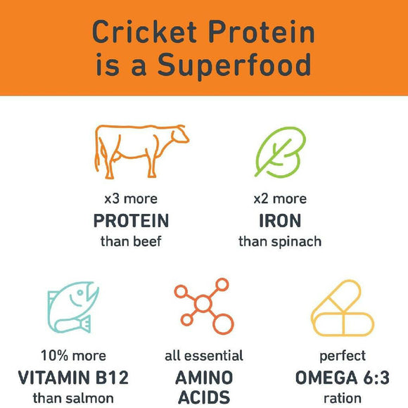 Jiminy's Pumpkin Carrot & Cricket Chewy Training Treats For Dogs (6 oz)