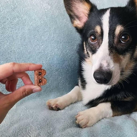 Bocce's Sweet Dreams Soft & Chewy Treats For Dogs (6 oz)