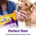 Wellness The Rewarding Life Beef & Turkey Recipe Grain-Free Dog Treats (6 oz)