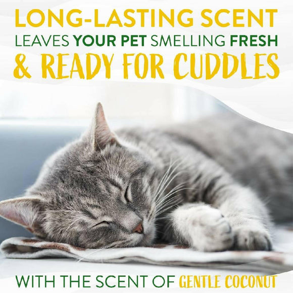 TropiClean Gentle Coconut Hypoallergenic Cat & Kitten Shampoo (12oz)