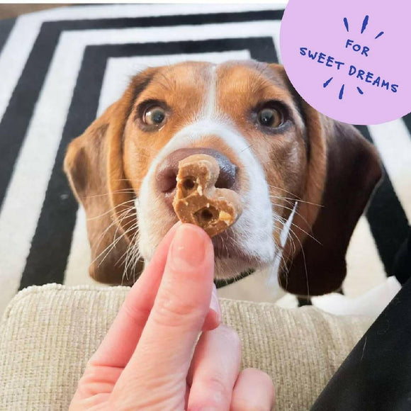 Bocce's Sweet Dreams Soft & Chewy Treats For Dogs (6 oz)