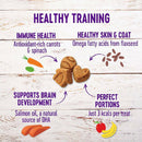 Wellness Crunchy Puppy Bites Chicken & Carrot Recipe Grain-Free Dog Treats (6 oz)