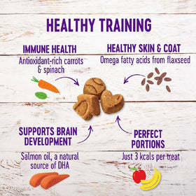 Wellness Crunchy Puppy Bites Chicken & Carrot Recipe Grain-Free Dog Treats (6 oz)