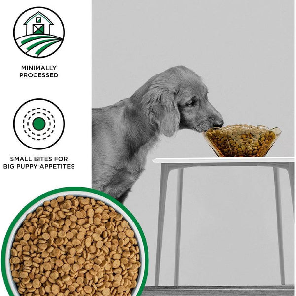 Bixbi Liberty Limited Ingredient Grain-Free Original Recipe Dry Puppy Food (4 lb)