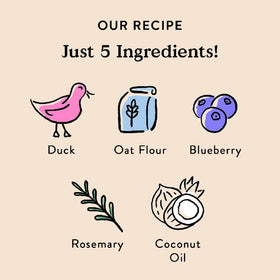 Bocce's Bakery Quack Quack Quack Crunchy Biscuits For Dogs (5 oz)