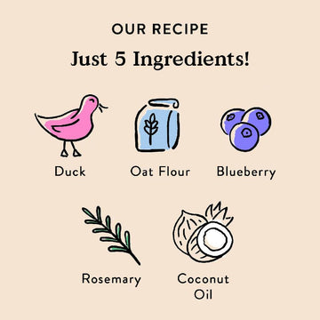 Bocce's Bakery Quack Quack Quack Crunchy Biscuits For Dogs (5 oz)