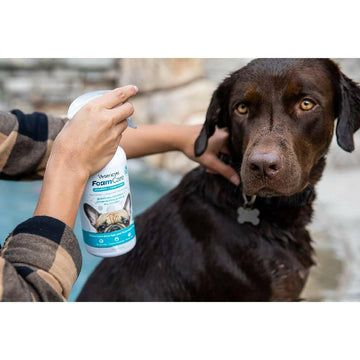 spray in conditioner for dogs that is also a shampoo
