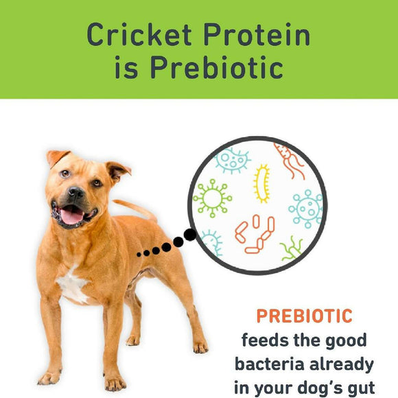 Jiminy's Cricket Sweet Potato & Peas Chewy Training Treats For Dogs (6 oz)