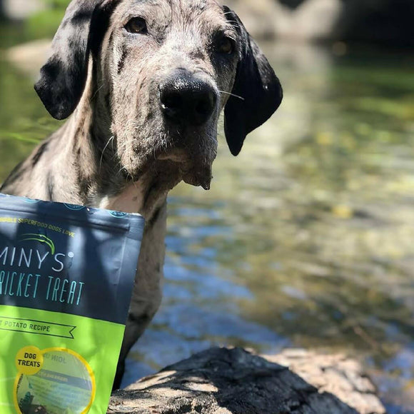 Jiminy's Cricket Sweet Potato & Peas Chewy Training Treats For Dogs (6 oz)