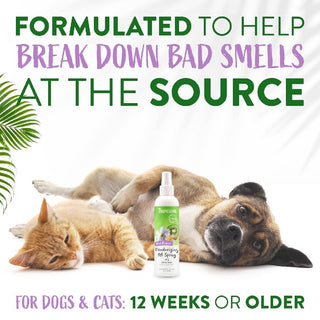 Tropiclean Kiwi Blossom Deodorizing Spray For Dogs & Cats (8 oz)