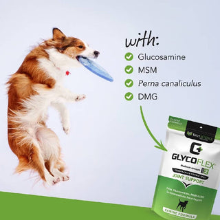 VetriScience GlycoFlex Sport Joint Supplement for Dogs (60 chews)