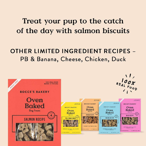 Bocce's Bakery Basics Salmon Crunchy Biscuits For Dogs (6 oz)