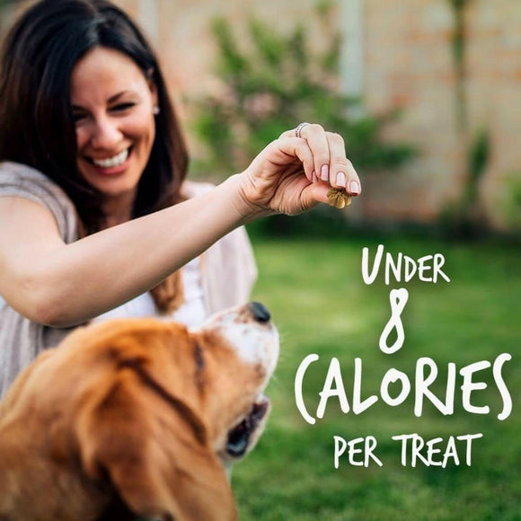 Fruitables Pumpkin & Cranberry Crunchy Dog Treats (7 oz)