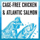 Bixbi Rawbble Indoor Cat Health Chicken & Salmon Recipe Raw Coated Dry Cat Food (10 lb)