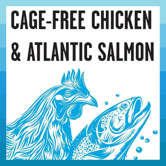 Bixbi Rawbble Indoor Cat Health Chicken & Salmon Recipe Raw Coated Dry Cat Food (10 lb)