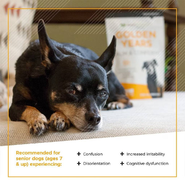 VetriScience Golden Years Calm & Confident Behavior Chew Supplement for Senior Dogs (60 chews)