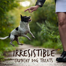 Fruitables Skinny Minis Grilled Bison Flavor Chewy Dog Treats (5 oz)