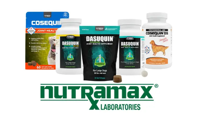 Top Joint Health for Dogs Comparison: Nutramax vs VetriScience
