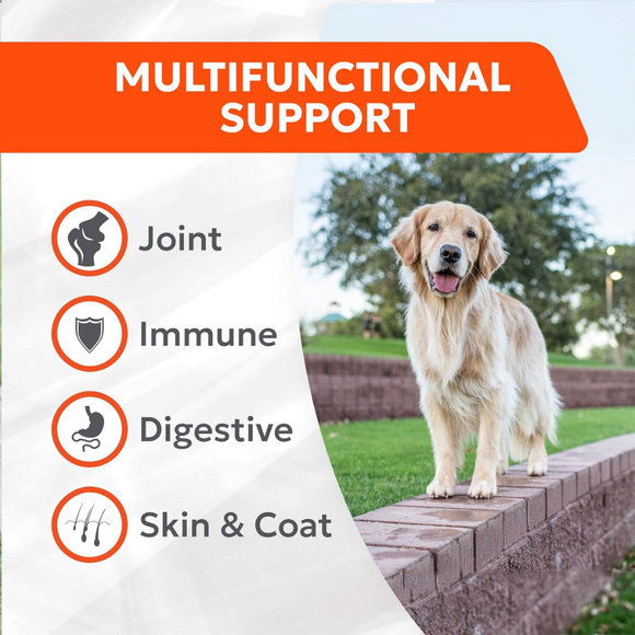 Nutramax Cosequin Joint Health Supplement Soft Chews for Dogs - Multifunctional support