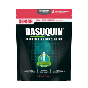 Nutramax Dasuquin Joint Health Soft Chews for Senior Dogs - 84 Chews