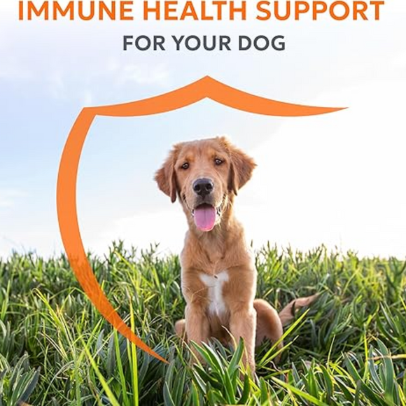 Nutramax Imuquin Immune Support Chewable Tablets for Dogs - Immune Health Support for Dogs