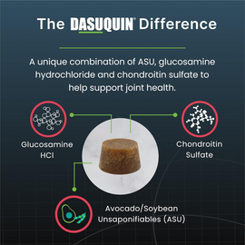 Nutramax Dasuquin Joint Health Soft Chews for Senior Dogs - The Dasuquin Difference