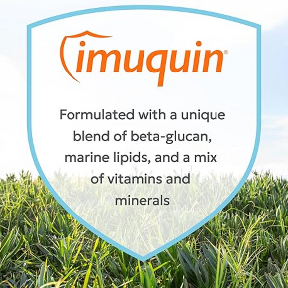 Nutramax Imuquin Immune Support Chewable Tablets for Dogs - Imuquin 