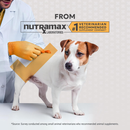 Nutramax Filaquin Anal Gland Supplement Soft Chews for Dogs - #1 Dog supplement company