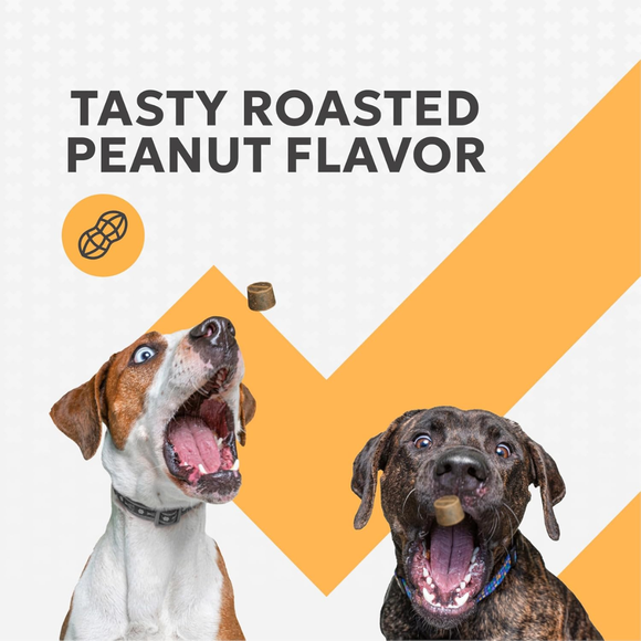 Nutramax Filaquin Anal Gland Supplement Soft Chews for Dogs - Roasted Peanut Flavor