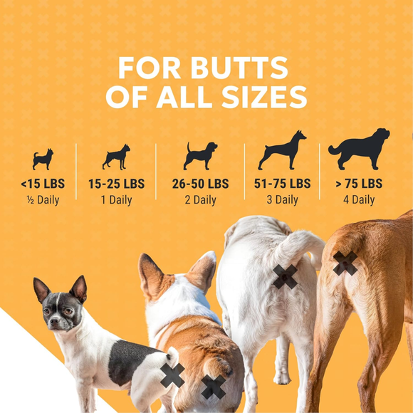 Nutramax Filaquin Anal Gland Supplement Soft Chews for Dogs - for Butts all Sizes