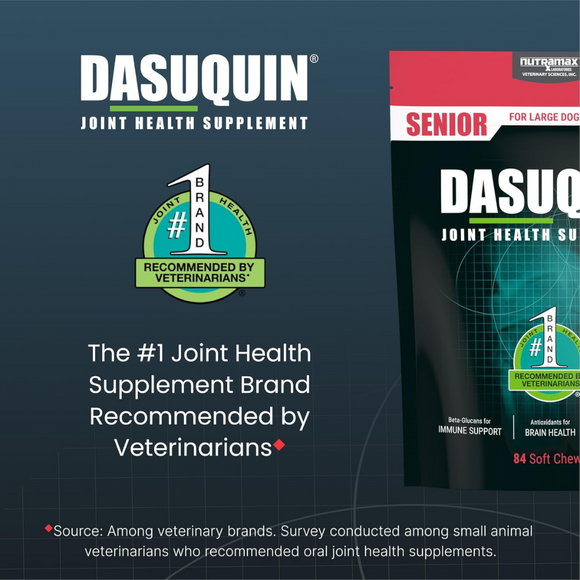 Nutramax Dasuquin Joint Health Soft Chews for Senior Dogs - #1 joint health supplement
