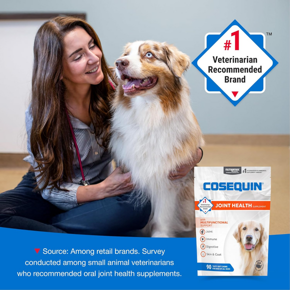Nutramax Cosequin Joint Health Supplement Soft Chews for Dogs