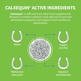 Cosequin Calxequin Daily Hoof Support Pellets for Horses